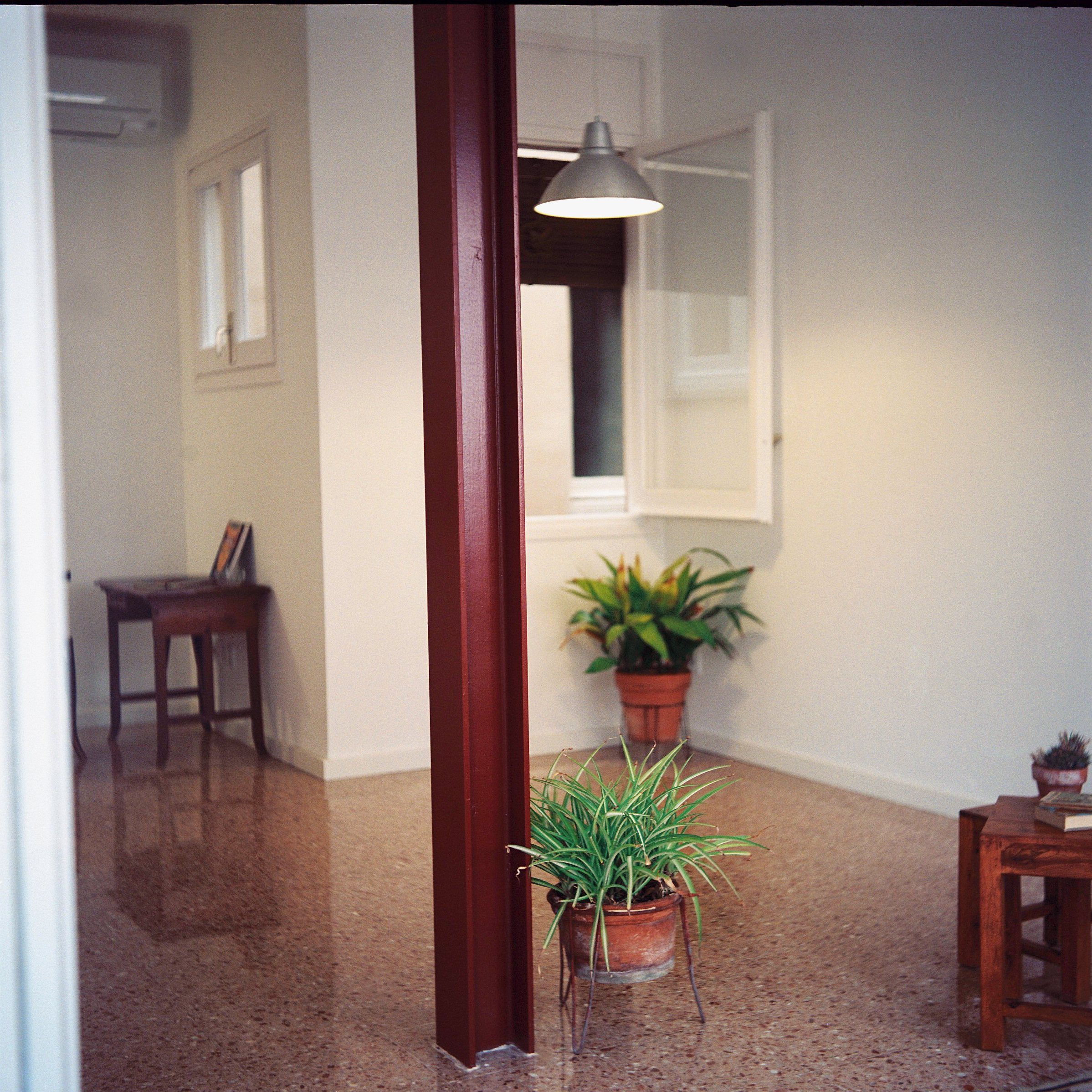 laporteria_annaizquierdo_analog_2